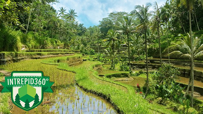 Temples Hindu en Bali