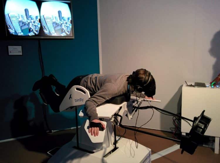 Laval Virtual birdly