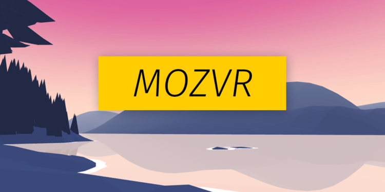 mizvr