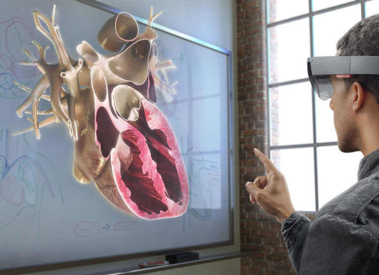 hololens-anatomie