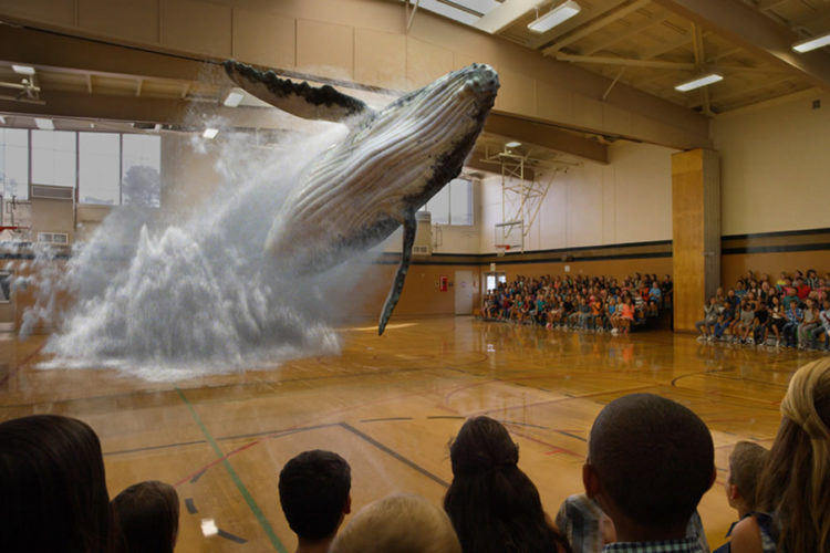 Magic Leap recrute créateurs développeurs artistes
