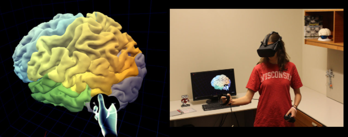 Exemple d'un joueur qui explore le cerveau virtuel avec le jeu BrainWalk. Il utilise les contrôleurs Oculus Rift et Touch pour naviguer dans le cerveau en 3D.