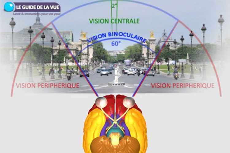 Eye Tracking VR