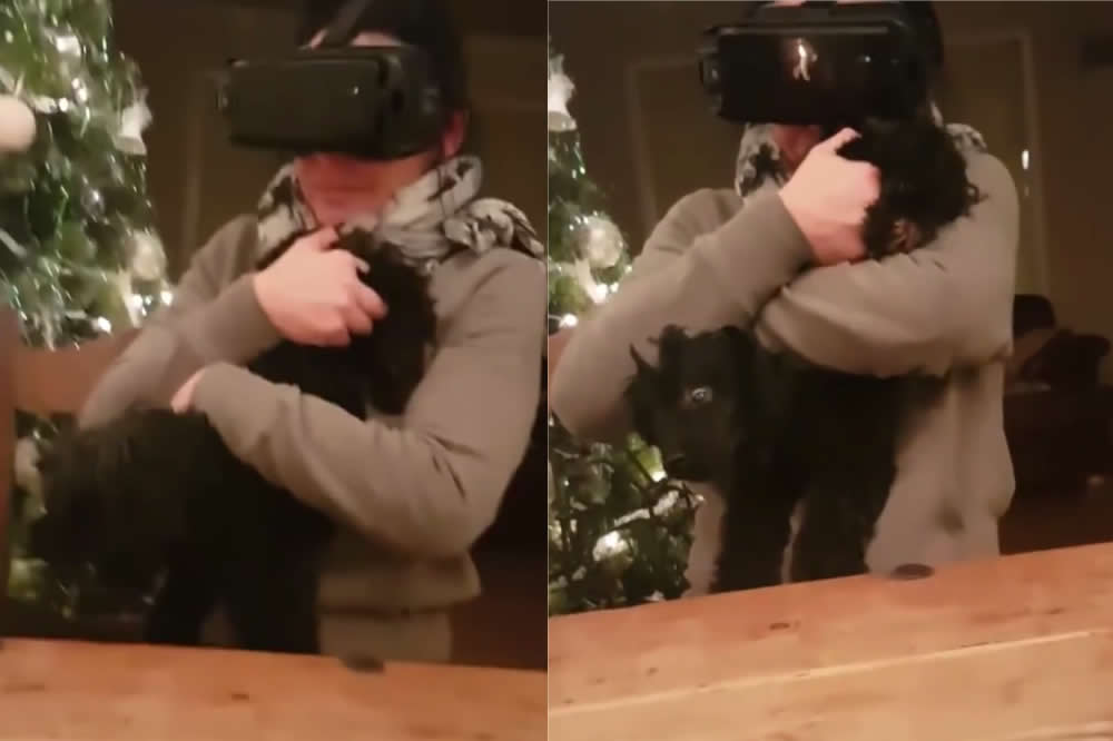 Femme chien VR, vidéo drôle amusante