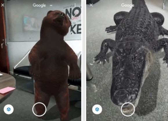 Google Search AR
