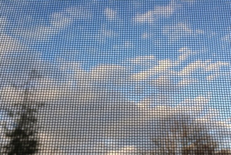 Screen door effect c’est quoi et comment le corriger