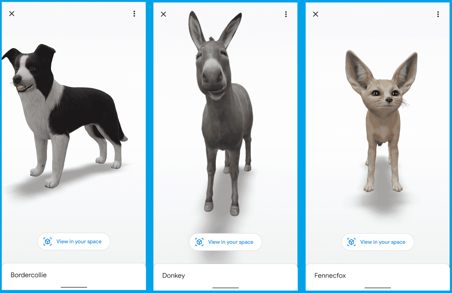 animaux 3D Google