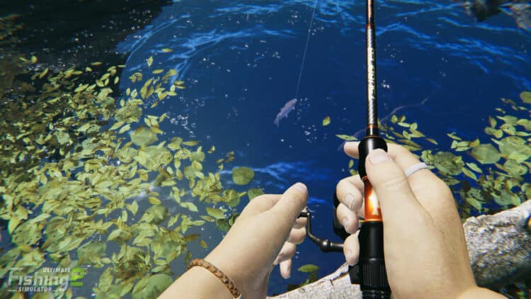 Ultimate Fishing Simulator