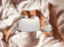 Oculus Go porn