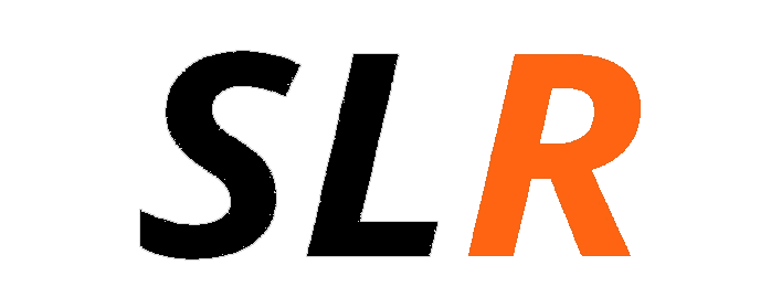 sexlikereal logo