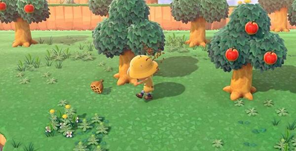 Animal Crossing, conseils et astuces