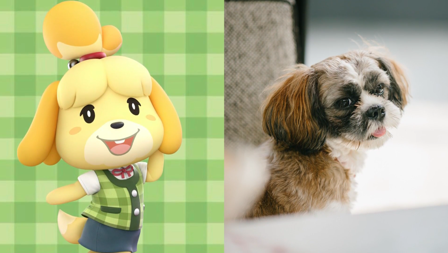 Personnage Marie ACNH et sa version animale