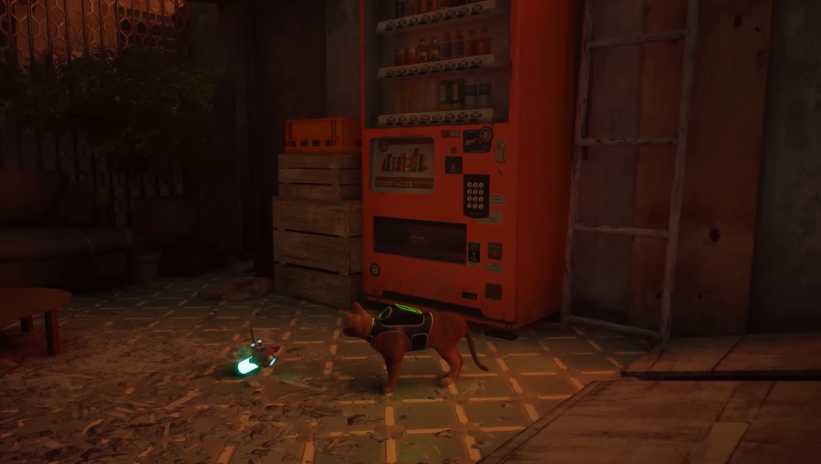 gameplay Stray PlayStation Plus gratuit Novembre 2025