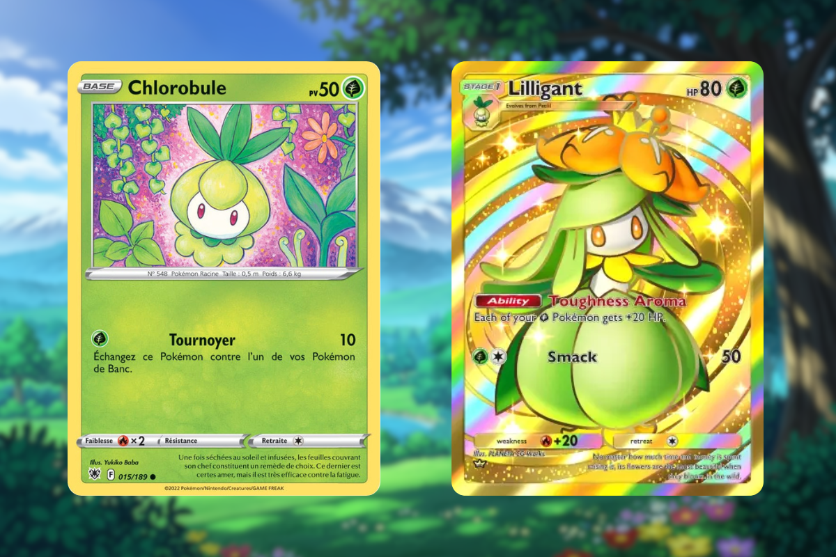 Les cartes promo du Méga-Roucarnage EX, un must pour votre deck