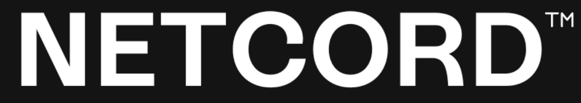 Netcord représente un choix intéressant pour une agence de modération Discord.