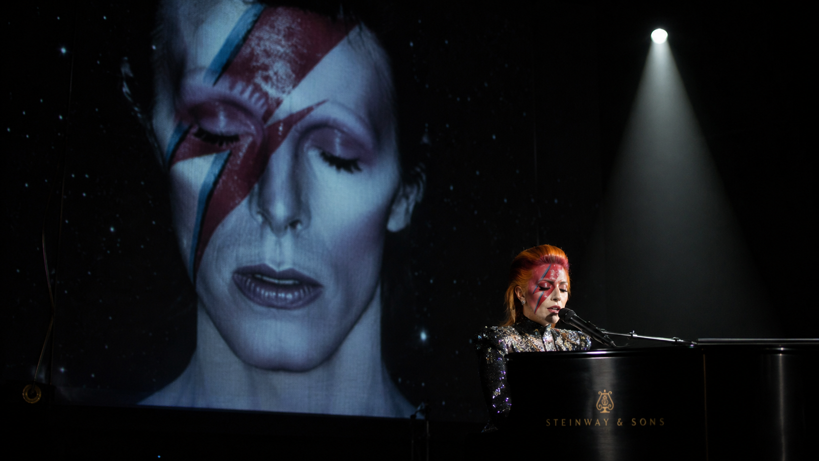 image illustrant Lady Gaga en concert